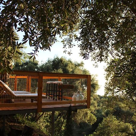 Nature Habitat Pentátion المظهر الخارجي الصورة