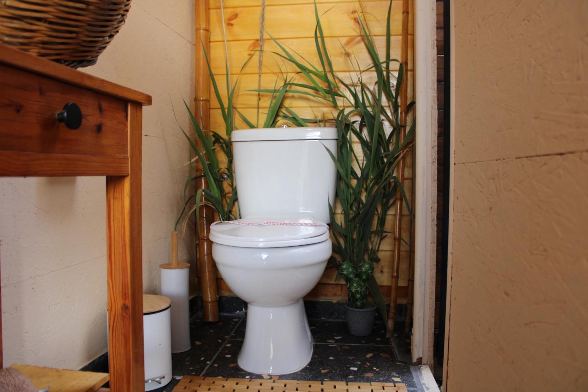 Nature Habitat Pentátion المظهر الخارجي الصورة