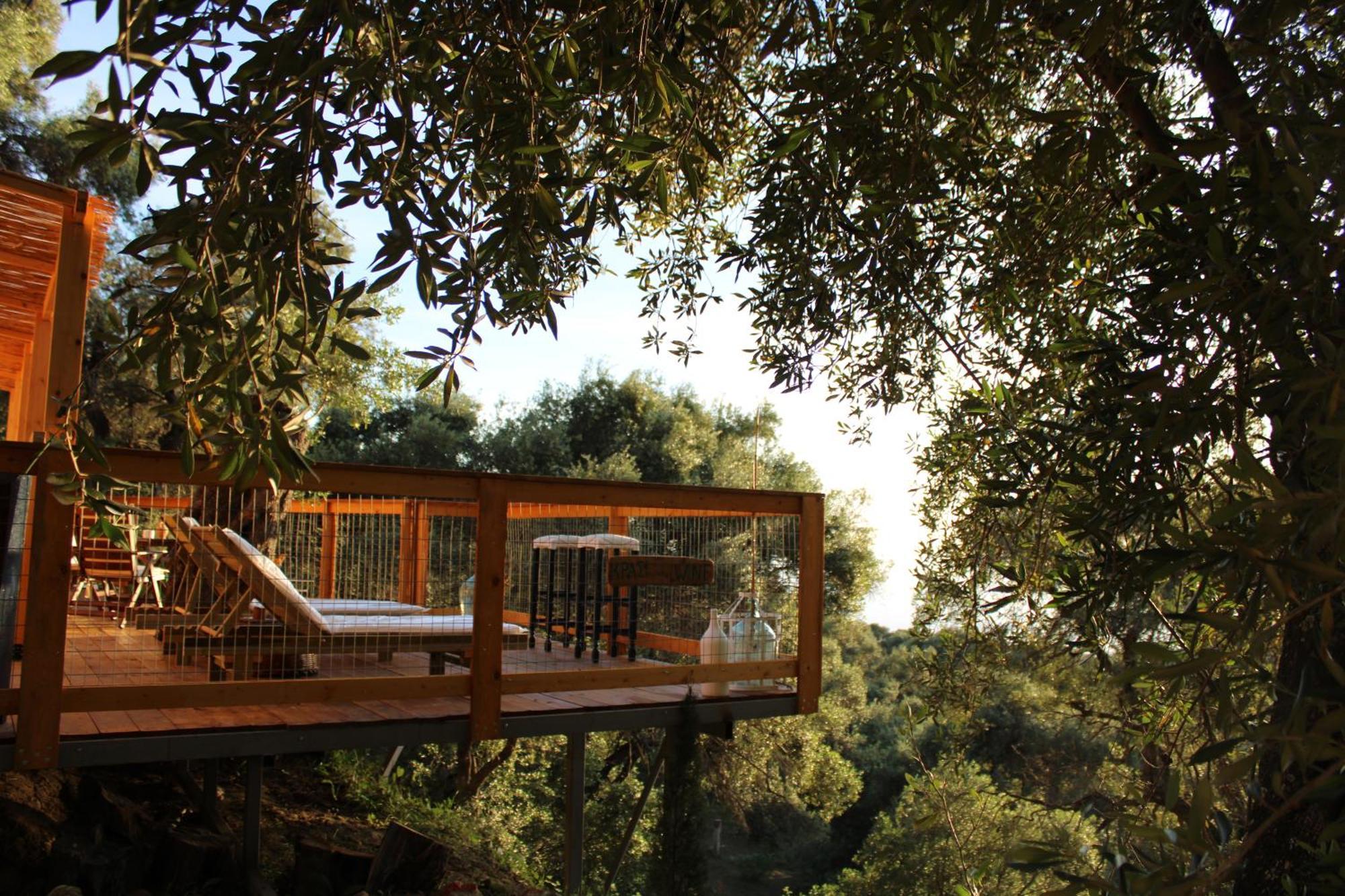 Nature Habitat Pentátion المظهر الخارجي الصورة